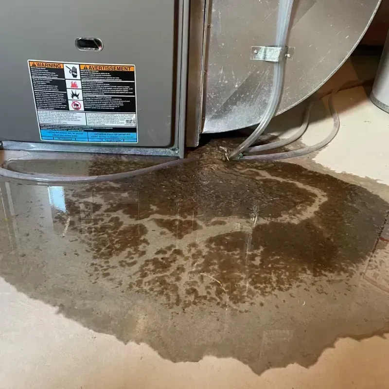 Appliance Leak Cleanup in Miller County, AR